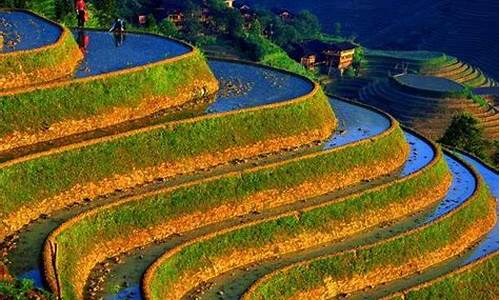 龙脊梯田旅游车队(龙脊梯田最佳旅游时间)