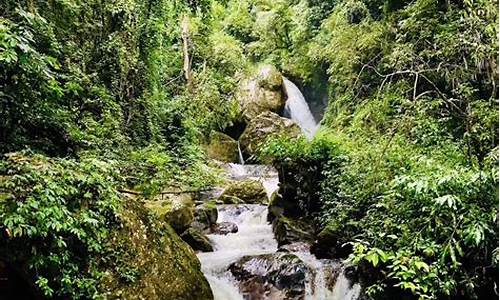 高黎贡山旅游(高黎贡山旅游景点介绍)