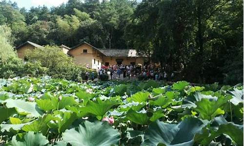 韶山一日游(湖南韶山旅游攻略自由行路线)