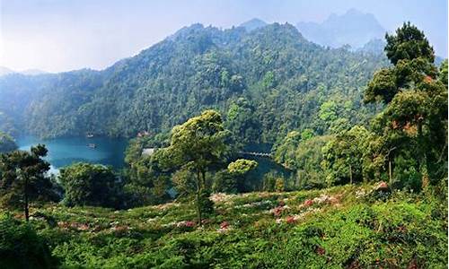 鼎湖山风景区(鼎湖山风景区肇庆介绍)