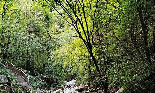 贵青山旅游风景区(贵清山旅游线路)