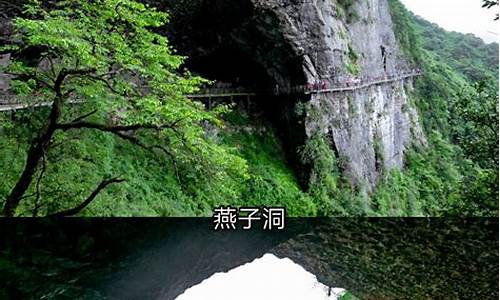 金佛山旅游攻略(金佛山风景区旅游攻略)