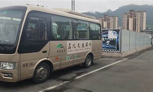 贵阳旅游大巴包车(贵阳旅游大巴车队包车)