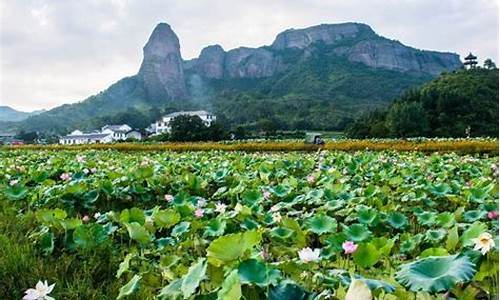 赣州石城旅游攻略(赣州石城好玩的地方)