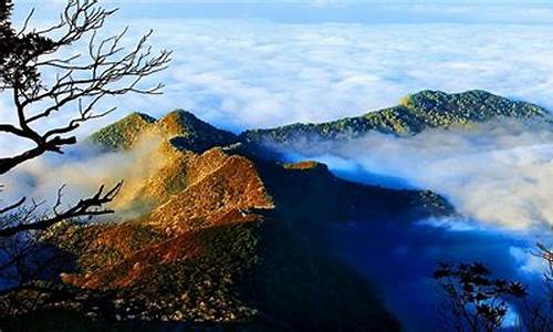 金佛山门票(金佛山门票和索道费)