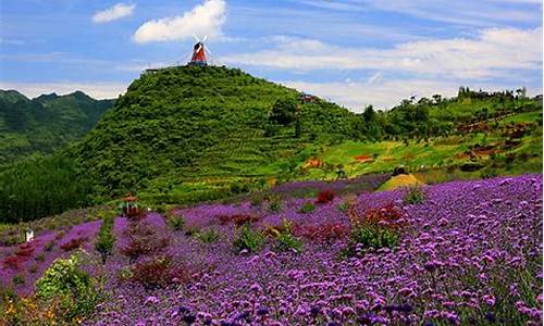 荥阳旅游团一日游(荥阳旅游团一日游价格)