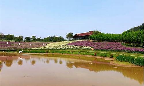 蜀南花海景区(蜀南花海景区介绍)