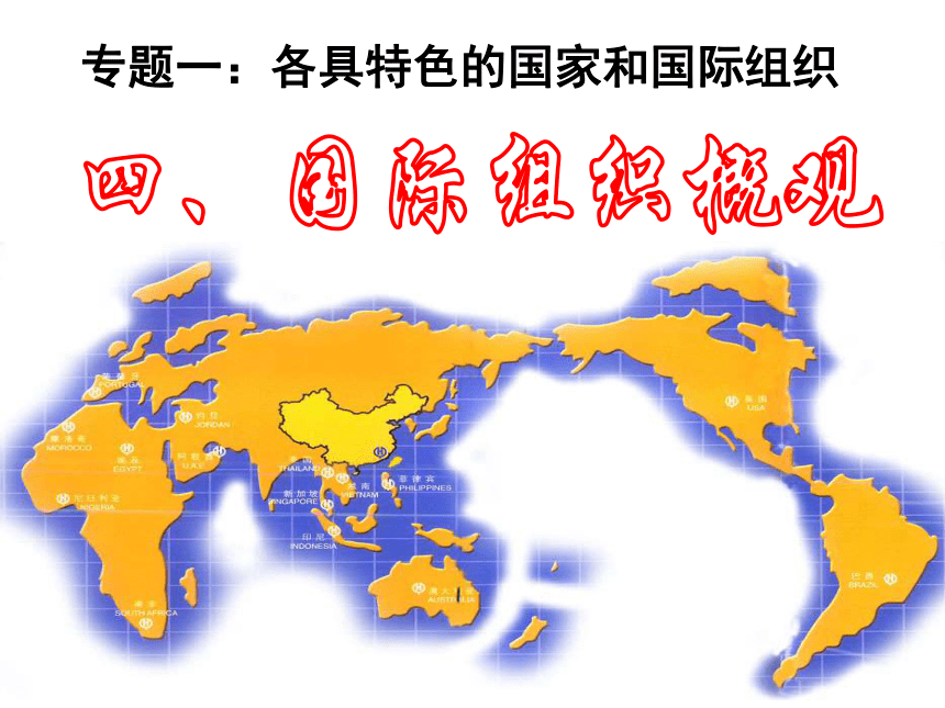 国际组织概不雅