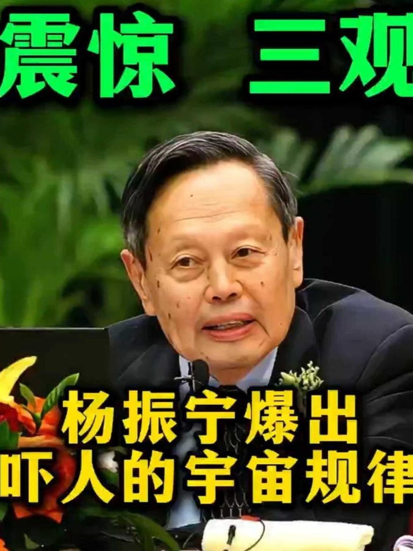 杨振宁做了什么成就